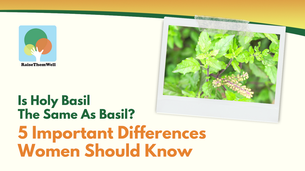 Is Holy Basil The Same As Basil? 5 Important Differences