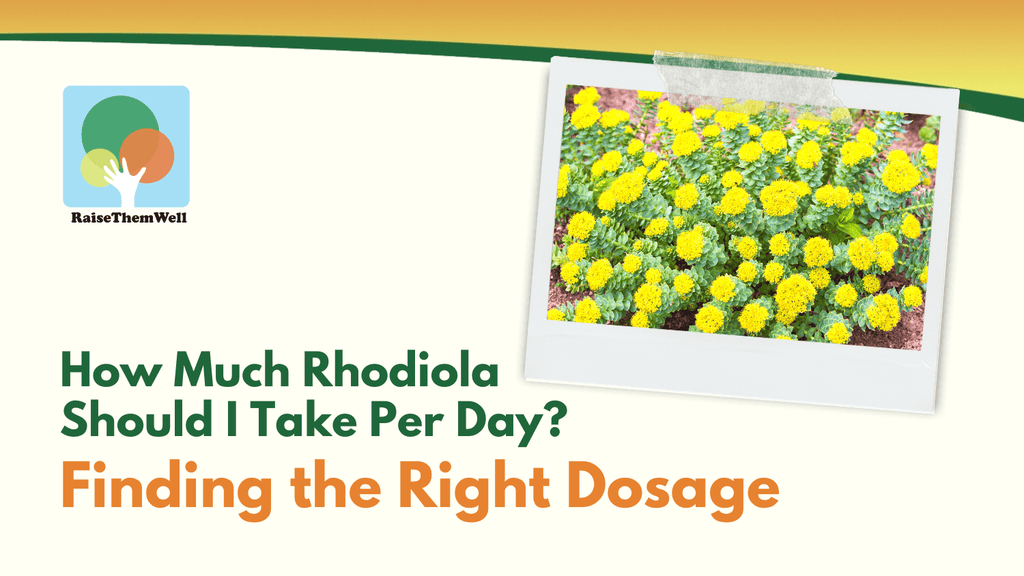 How Much Rhodiola Should I Take Per Day? Finding the Right Dosage