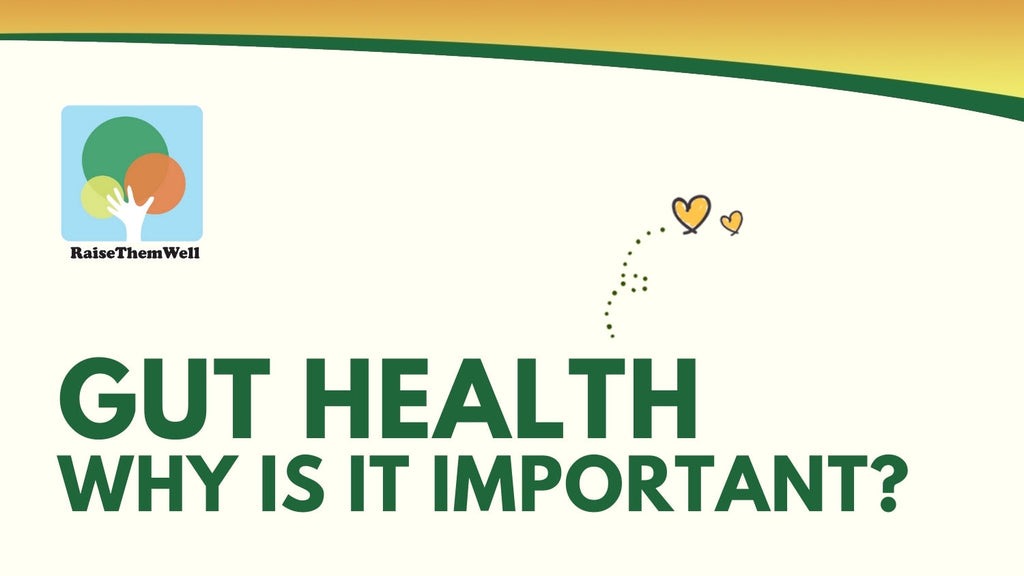 Gut Health, Why Is It Important